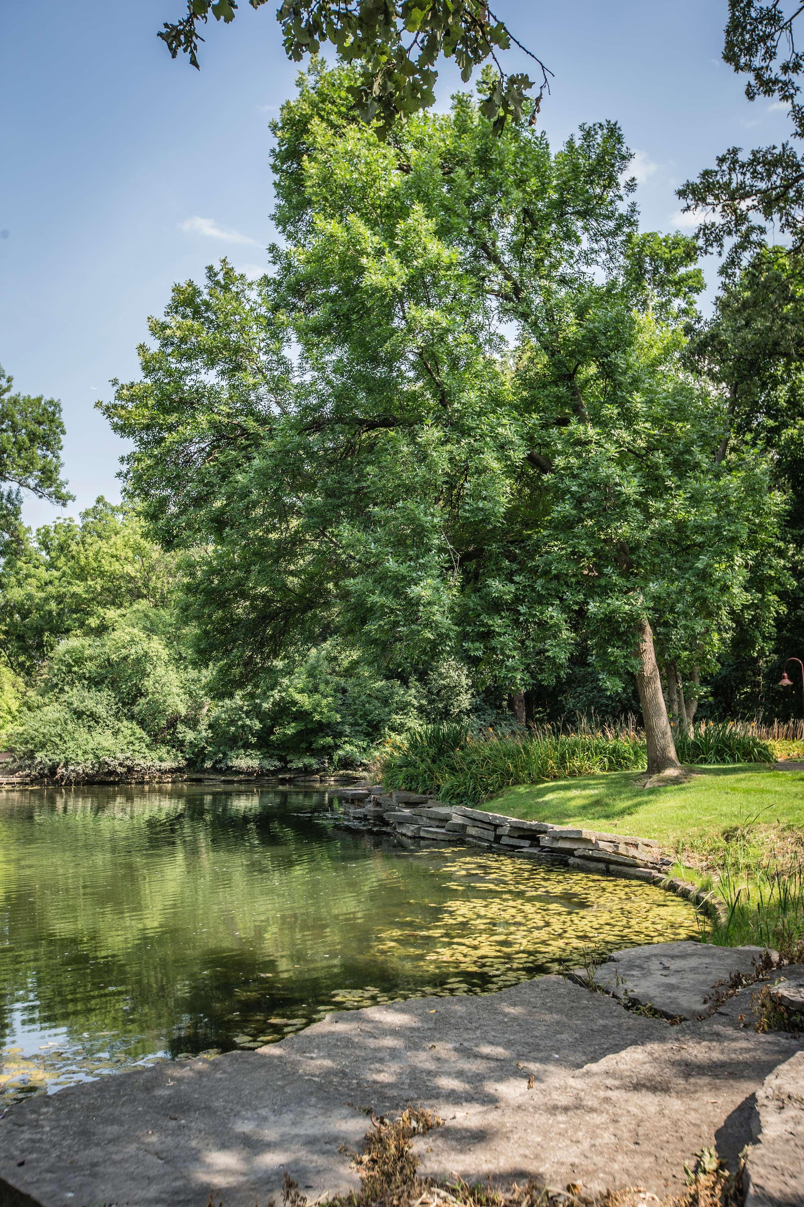 Hyatt Lodge Oak Brook Chicago Exterior photo